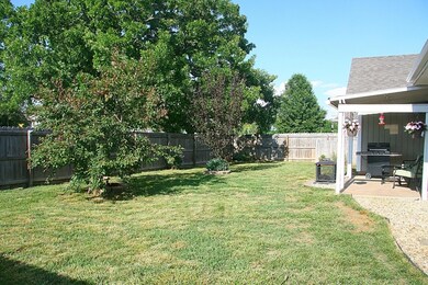 Back yard from the house
