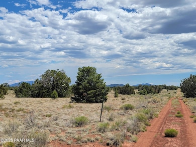 663 S Lodestar Dr, Valle, AZ 86046 - photo 7