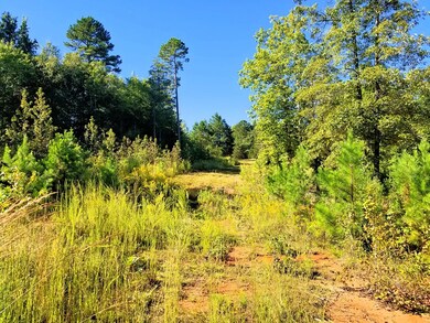 20.62 AC Stoney Cross Rd, Chase City, VA 23924 - photo 4