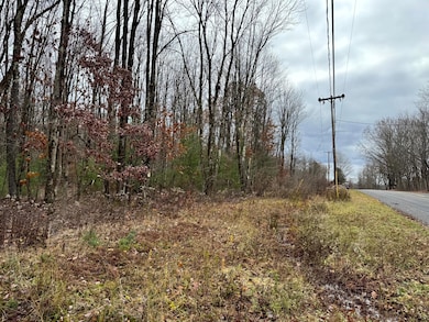 0 Preston Hill Rd, Camden, NY 13316 - photo 3