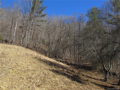 00 Willow Creek Rd, Burnsville, NC 28714 - photo 6