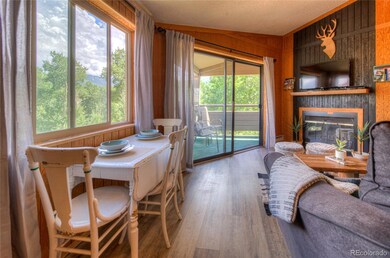 1420 Panadero Ave unit 36, La Veta, CO 81055 - photo 6