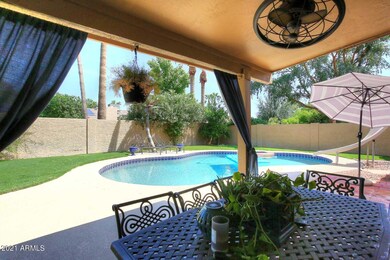 Covered Patio-View