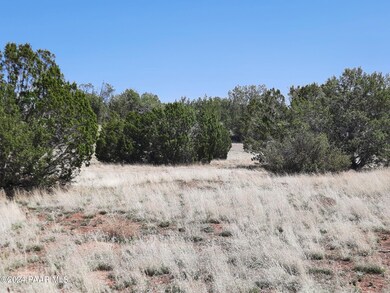56673 N La Carro Ln, Seligman, AZ 86337 - photo 4