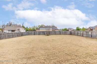 4350 Abele Cove, Olive Branch, MS 38654 - photo 7