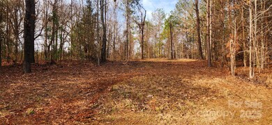 6713 E Nc 150 Hwy, Sherrills Ford, NC 28673 - photo 6