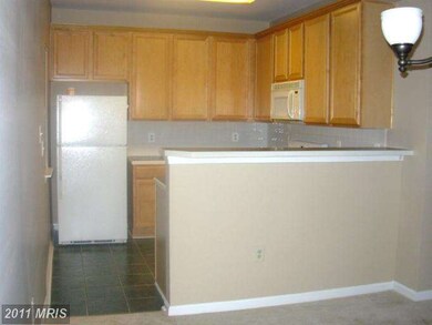 11310 W Brook Mill Ln unit 201, Fairfax, VA 22030 - photo 5