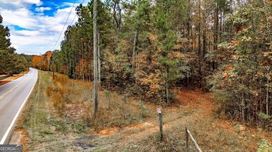 0 Morgan Mill Rd unit 25520027, Senoia, GA 30276 - photo 7