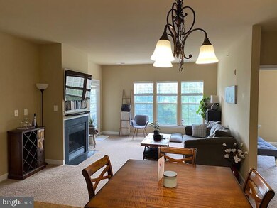 22607 Blue Elder Terrace unit 302, Ashburn, VA 20148 - photo 4