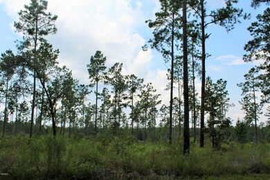 9ac Homestead, Lucedale, MS 39452 - photo 6
