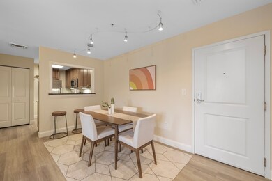 320 Rindge Ave unit 303, Cambridge, MA 02140 - photo 6