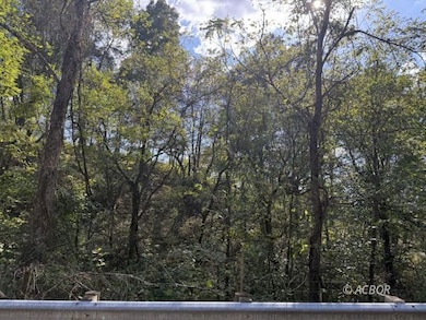 151 Shoestring Ridge Rd, Clay Township, OH 45631 - photo 3