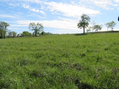 990 Craig Crossing Rd, Winchester, KY 40391 - photo 7