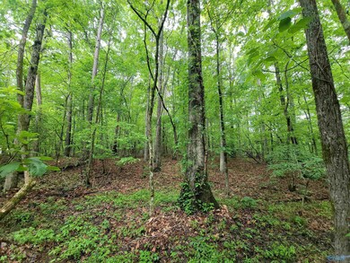 2.5 Aqua Vista Dr E, Tidmore Bend, AL 35901 - photo 6