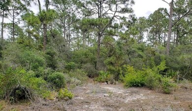 208 Suwannee Dr, Lake Placid, FL 33852 - photo 3