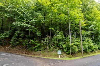 Lot 48 Riversong Way, Sevierville, TN 37876 - photo 3