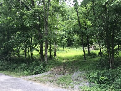 1299 Black Rd, Prospect, TN 38477 - photo 6