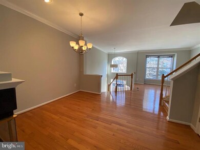 11506 Wild Hawthorn Ct, Reston, VA 20194 - photo 4