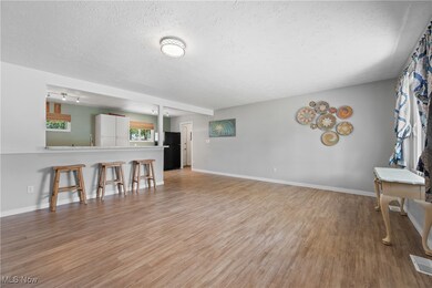 3510 Ivanhoe Dr, Kent, OH 44240 - photo 3