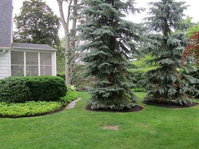 Yard/Garden
