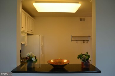 1603 Potomac Greens Dr, Alexandria, VA 22314 - photo 5