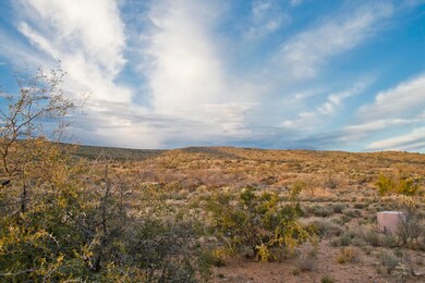 0 E Horseshoe Bend Rd unit B 22518197, Saddlebrooke, AZ 85739 - photo 6