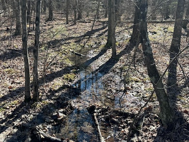 9 Tennessee 399, Dunlap, TN 37327 - photo 4