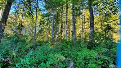 0 E Wild Grape Way unit 1665986, Grapeview, WA 98546 - photo 6