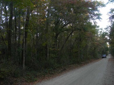 xx Neeley Rd unit x, Crawfordville, FL 32327 - photo 4