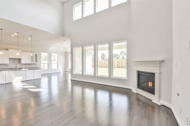 21322 Rose Loch Ln, Tomball, TX 77377 - photo 6