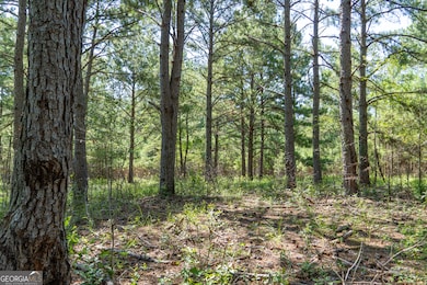 0 Plantation Rd, Warner Robins, GA 31093 - photo 7