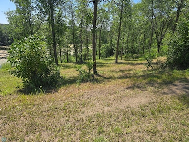 18589 Jarrett Dr, Audubon, MN 56511 - photo 5