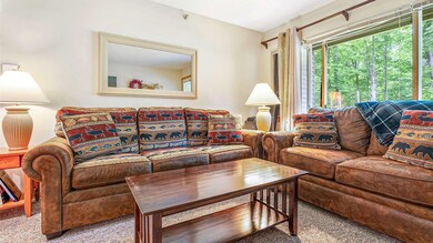8 Sunrise Dr unit A108, Newry, ME 04261 - photo 5