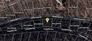 0 Tranquility Way, Smithville, TN 37166 - photo 5