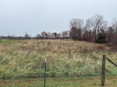 699 Wolf Rd, Upper Tygart, KY 41164 - photo 4