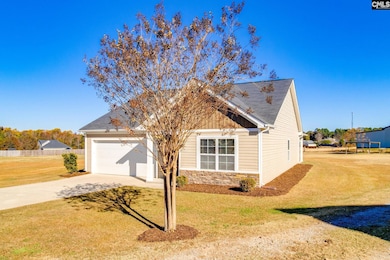 308 Bush Clover Way, Leesville, SC 29070 - photo 2