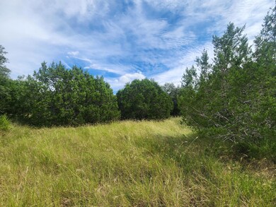 TBD Cloudwood Ranch Rd, Briggs, TX 78608 - photo 7