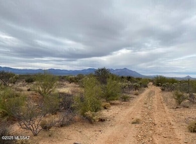 16252 W Pyle Rd unit 106, Diamond Bell Ranch, AZ 85736 - photo 5