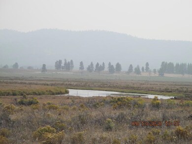 IMG_0017