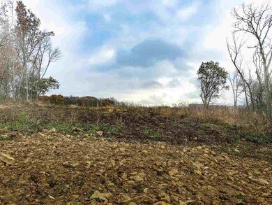 L1 Mineral Point Rd, Cross Plains, WI 53528 - photo 7