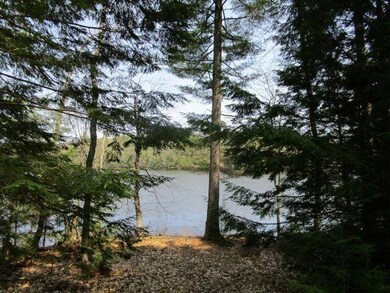 Pine Point 4