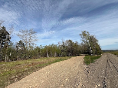 65 08 field and new drive to house site