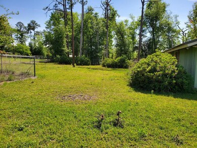 7667 Paradise Dr, Donalsonville, GA 39845 - photo 7