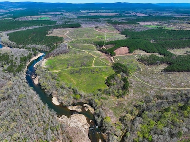 1004 Tarpon Rd, Smithville, OK 74963 - photo 5