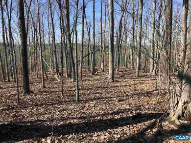 TBD Norwood Rd, Norwood, VA 24581 - photo 6