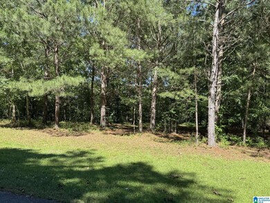 0 Wright Way Dr unit 21423149, Wedowee, AL 36278 - photo 4