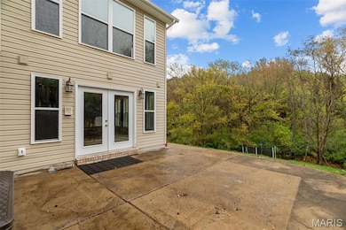 1604 Ivy Chase Ln, Fenton, MO 63026 - photo 6