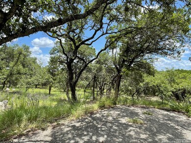 8936 Fox Briar Ln, Boerne, TX 78006 - photo 3