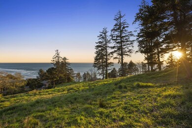 3-web-or-mls-DSC07652