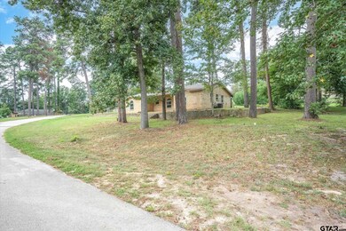 10303 County Road 2253, Tyler, TX 75707 - photo 3